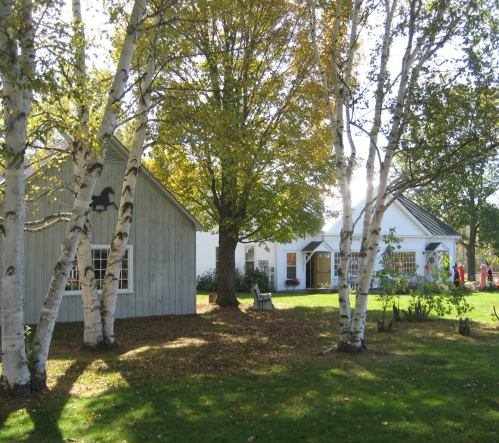 A serene outdoor scene featuring two buildings surrounded by birch trees and vibrant autumn foliage.