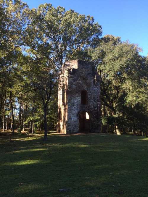 A weathered stone tower surrounded by trees in a grassy area under a clear blue sky.