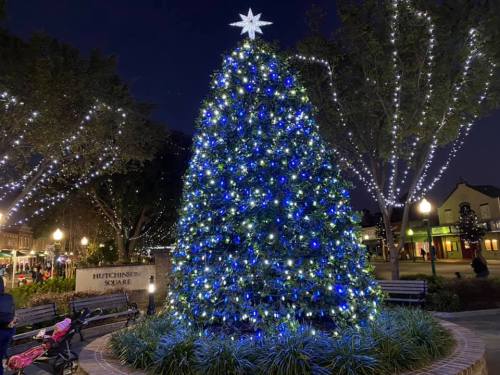 A beautifully lit Christmas tree adorned with blue and white lights, surrounded by festive decorations in a square at night.