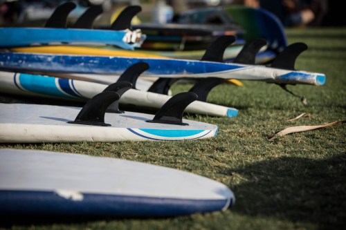 A row of surfboards with fins resting on green grass, ready for use at the beach.
