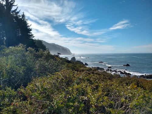 Coastal view with rocky shoreline, lush greenery, and misty mountains under a clear blue sky.