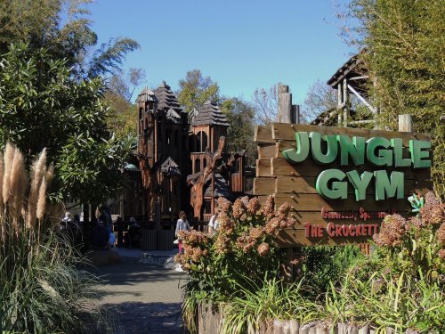 A wooden jungle gym structure surrounded by greenery, with a sign reading "Jungle Gym" in bright green letters.
