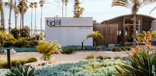 A modern building with the sign "tidal" surrounded by lush greenery and palm trees under a clear sky.