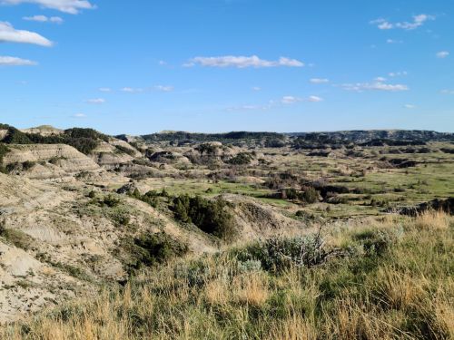 A panoramic view of rolling hills and valleys under a clear blue sky, with sparse vegetation and distant mountains.