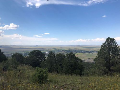 A panoramic view of a valley surrounded by mountains, with green trees in the foreground and a blue sky above.