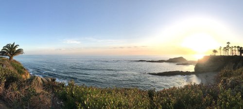 A panoramic view of a coastal sunset, with palm trees and gentle waves lapping against the shore.