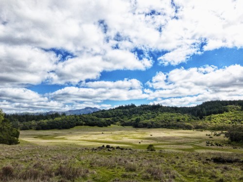 A scenic landscape featuring a grassy field, rolling hills, and a blue sky with fluffy clouds.