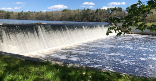 A serene waterfall cascades over a dam, surrounded by lush greenery and a clear blue sky.