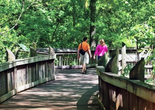 Two people walk along a wooden boardwalk surrounded by lush green trees.