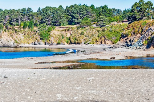 A serene beach scene with calm waters, sandy shore, and lush greenery in the background under a clear blue sky.