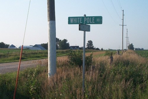 A green street sign for "White Pole Rd" beside a rural road with fields and power lines in the background.