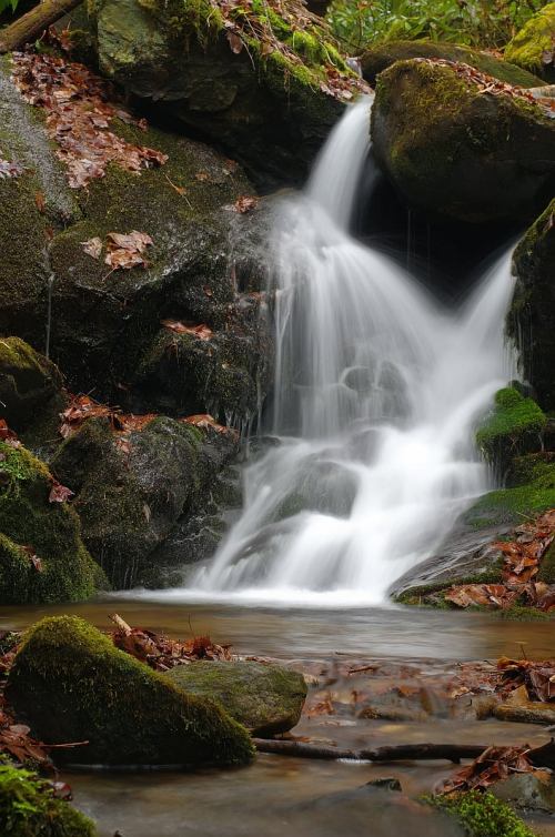 A serene waterfall cascades over moss-covered rocks, surrounded by autumn leaves and lush greenery.