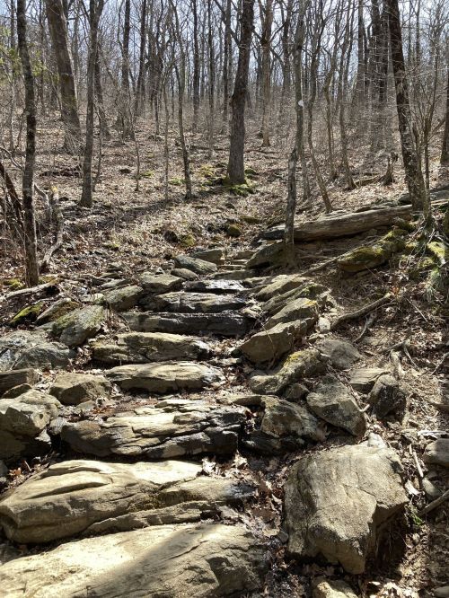 A rocky trail winding through a wooded area, with trees and sparse underbrush in early spring.