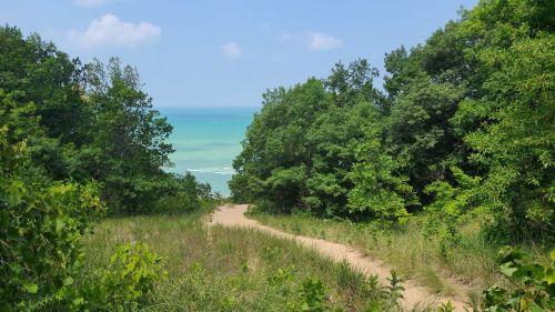 A sandy path leads through lush greenery to a serene blue ocean under a clear sky.