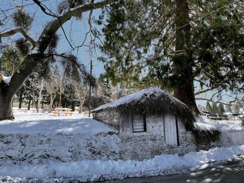 A small, snow-covered hut surrounded by trees and a snowy landscape under a clear blue sky.