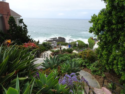 A coastal view with lush gardens, colorful flowers, and a pathway leading down to the ocean waves.