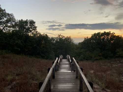 A wooden boardwalk leads through tall grass towards a sunset over a forested landscape.