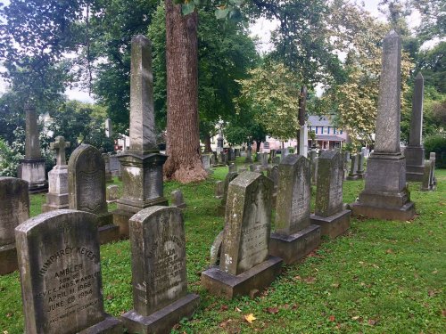 A peaceful cemetery with various gravestones and trees, set in a green landscape under a cloudy sky.