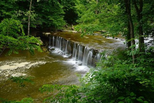 A serene waterfall cascades into a calm river, surrounded by lush green trees and foliage.