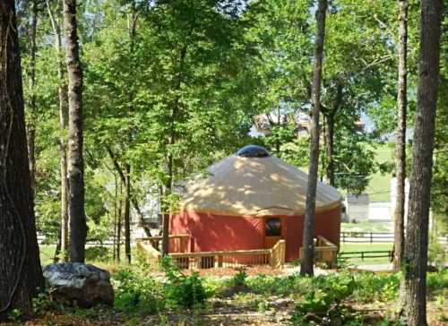 A round yurt nestled among trees, with a wooden deck and a clear sky in the background.