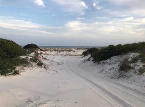 A sandy path leads to the ocean, framed by green shrubs under a cloudy sky.