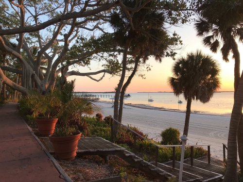 A serene beach scene at sunset, featuring palm trees, a wooden pier, and calm waters reflecting warm colors.