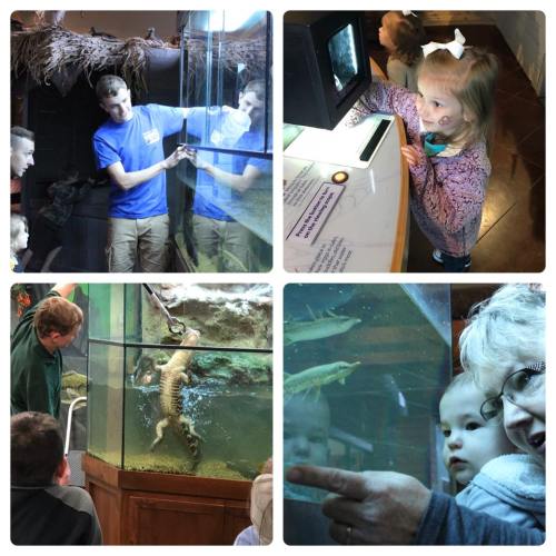 A collage of children and adults interacting with aquarium exhibits, observing fish and animals in glass tanks.