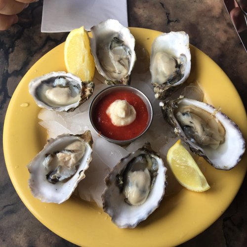 A plate of fresh oysters on ice, garnished with lemon wedges and a small cup of cocktail sauce.