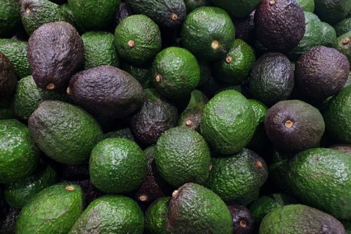 A close-up of a pile of ripe avocados in various shades of green and dark brown.