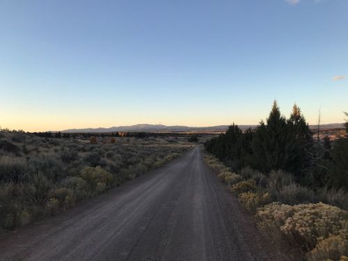 A dirt road stretches through a landscape of shrubs and trees, leading towards distant mountains under a clear sky.