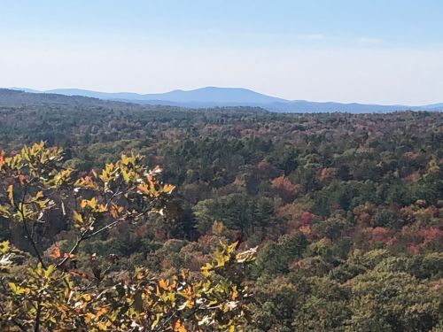 A panoramic view of a forested landscape with autumn foliage and distant mountains under a clear blue sky.