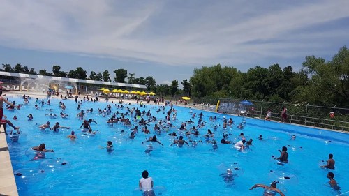 A crowded outdoor pool filled with people enjoying the water on a sunny day, surrounded by trees and umbrellas.