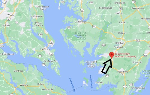 Map showing the location of Beach to Bay Seafood Company near Pocomoke City, Maryland, with an arrow pointing to it.