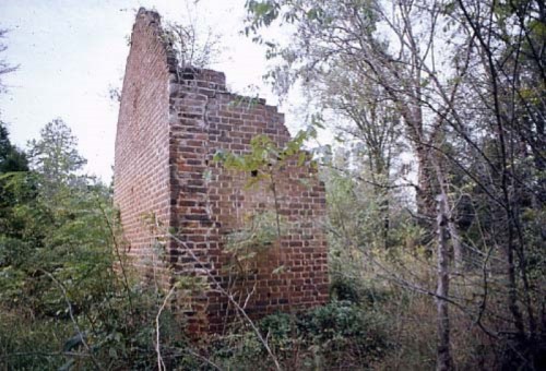 A weathered brick wall stands amidst overgrown vegetation and trees, hinting at a long-abandoned structure.