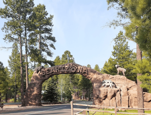 Entrance archway to Bearizona, featuring animal sculptures and surrounded by tall pine trees.