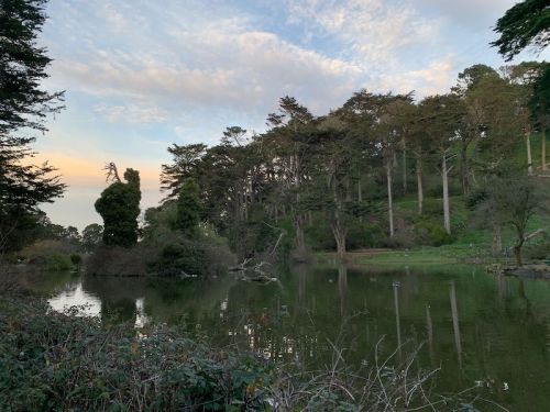 A serene lake surrounded by lush trees and greenery, reflecting the sky at dusk.