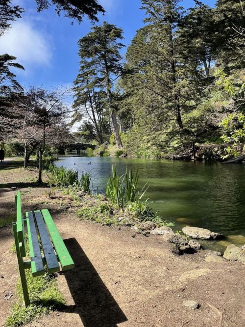 A serene park scene featuring a green bench by a calm pond surrounded by trees and blue skies.