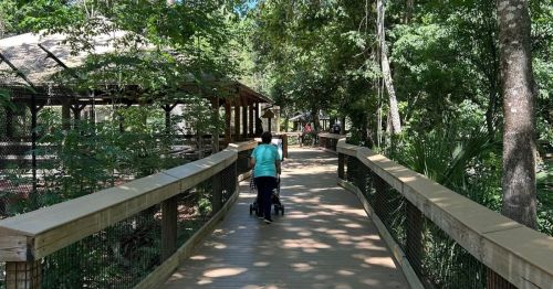Boardwalk through Homosassa Springs wildlife area Florida