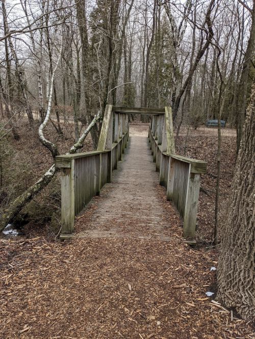 A wooden bridge leads through a forest, surrounded by bare trees and a path covered in brown leaves.