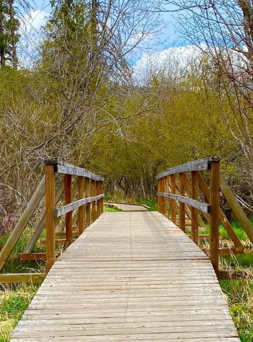 A wooden bridge leads through a lush, green landscape with trees and blue skies in the background.