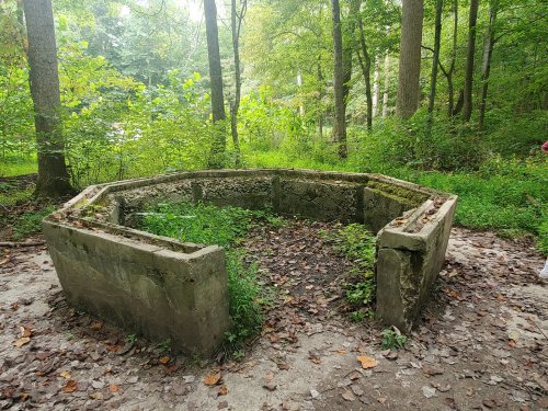 A circular, overgrown concrete structure in a wooded area, surrounded by trees and greenery.