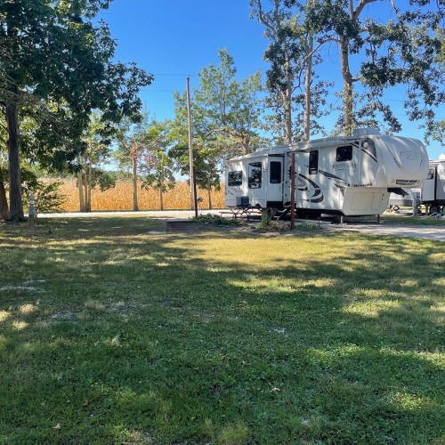 A parked RV in a grassy area surrounded by trees and a clear blue sky.