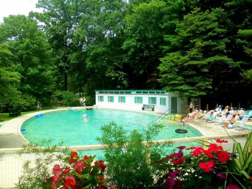 A serene outdoor pool surrounded by lush greenery and colorful flowers, with people relaxing and swimming.