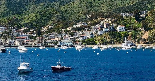 A scenic view of a harbor with boats and colorful houses on a hillside, surrounded by green mountains.