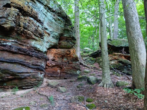 A rocky landscape with large, colorful boulders surrounded by green trees and a forest floor covered in leaves and stones.