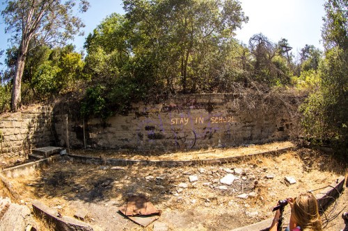 A dry, overgrown area with a graffiti message reading "STAY IN SCHOOL" on a weathered wall surrounded by trees.