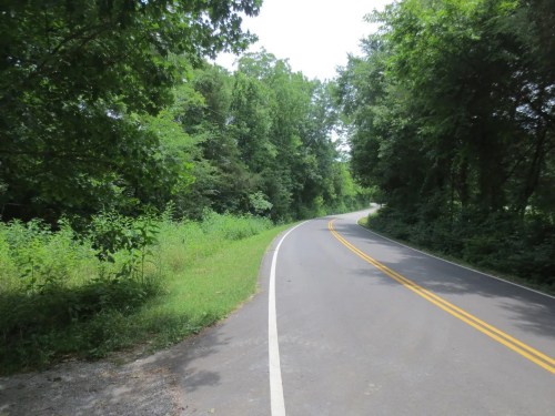 A winding road surrounded by lush green trees and vegetation on both sides under a bright sky.