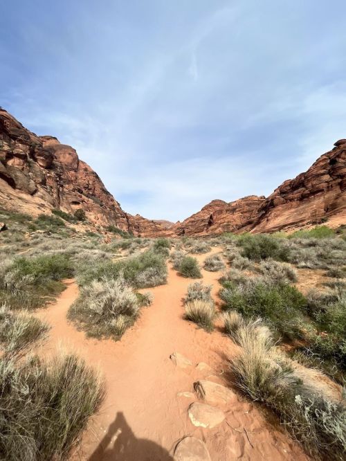 A sandy path winds through a rocky canyon, surrounded by shrubs and red rock formations under a blue sky.