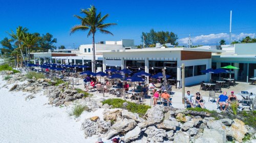 A beachfront restaurant with outdoor seating, palm trees, and patrons enjoying the sunny day by the shore.