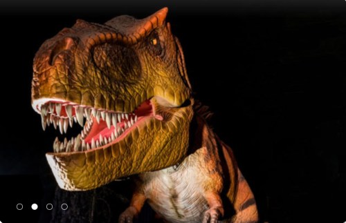 A realistic dinosaur model with a large head and sharp teeth, set against a dark background.